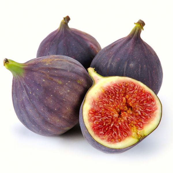 Sojakerze CASSIS FIG BERGAMOT