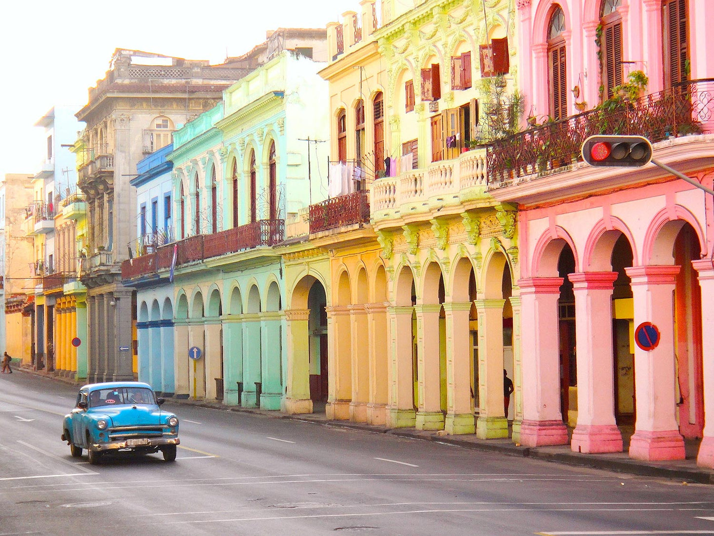 Sojakerze HAVANA